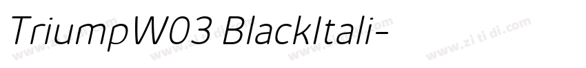 TriumpW03 BlackItali字体转换